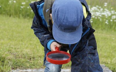 Geschützt: WABE Academy Hamburg – Fachtag 2019