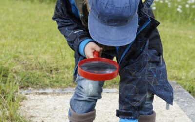 Geschützt: Projektarbeit á la Reggio: Kinder-Kunst-Haus Maintal